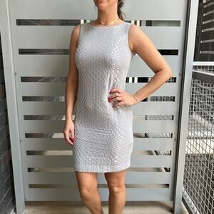 Lauren Ralph Lauren Evening Silver Sheath Dress Size 2